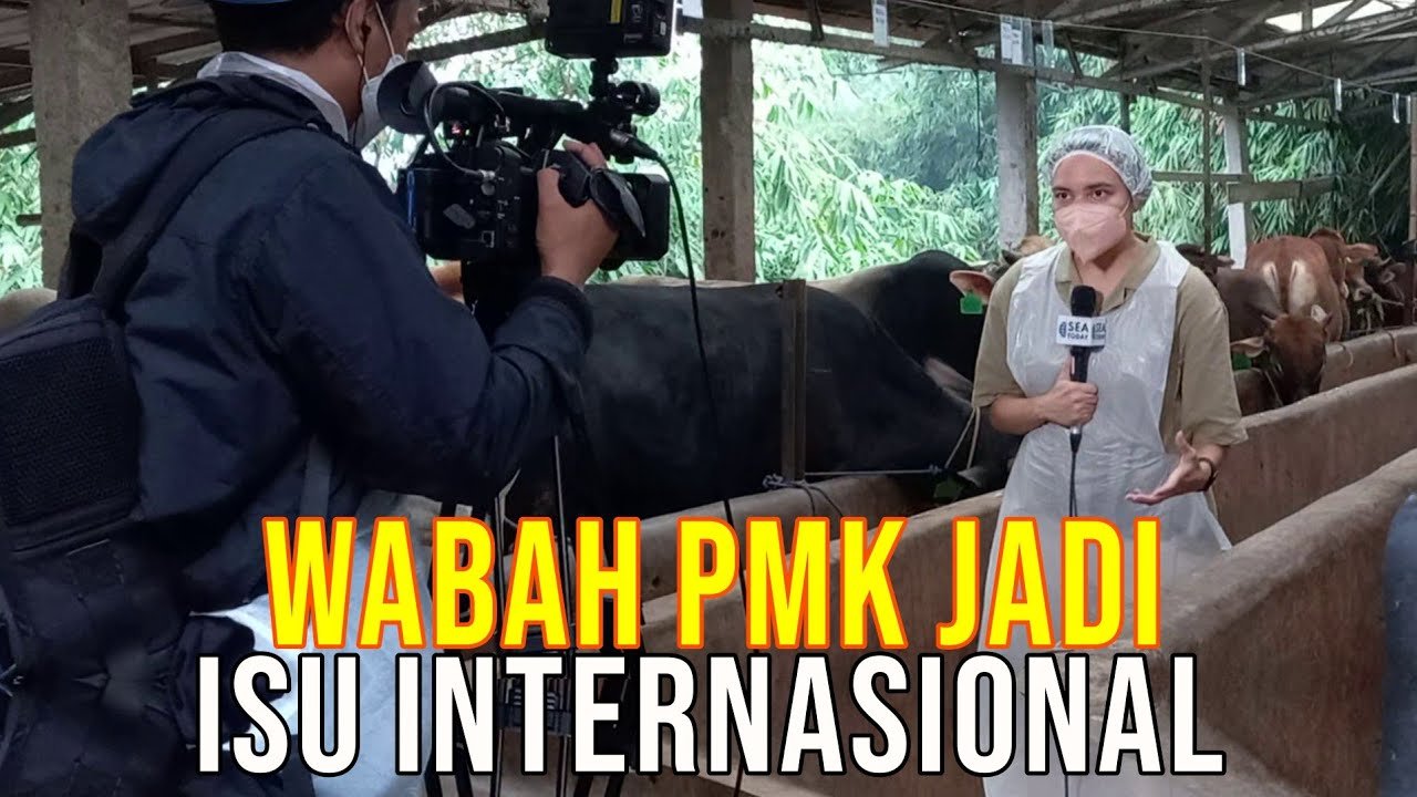 
                                 PMK-Sapi-Isu-Internasional